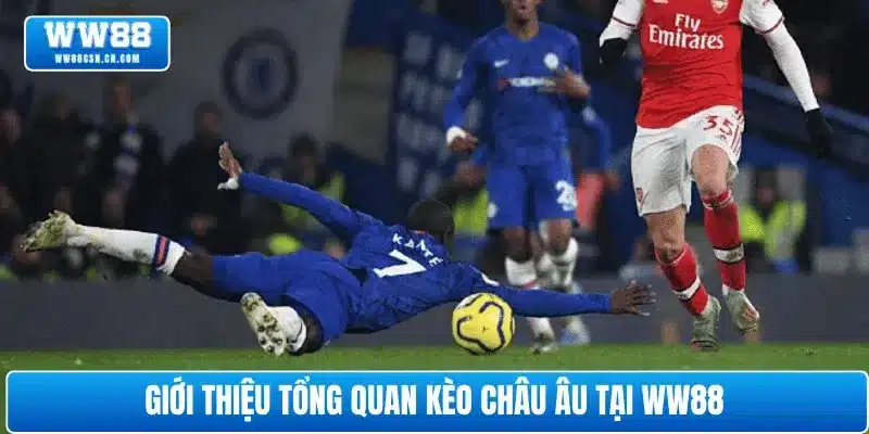 Giới thiệu tổng quan kèo châu Âu tại WW88